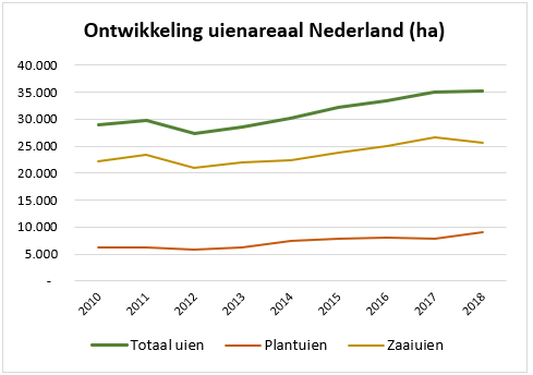 areaal uien 2018 wederom uitgebreid