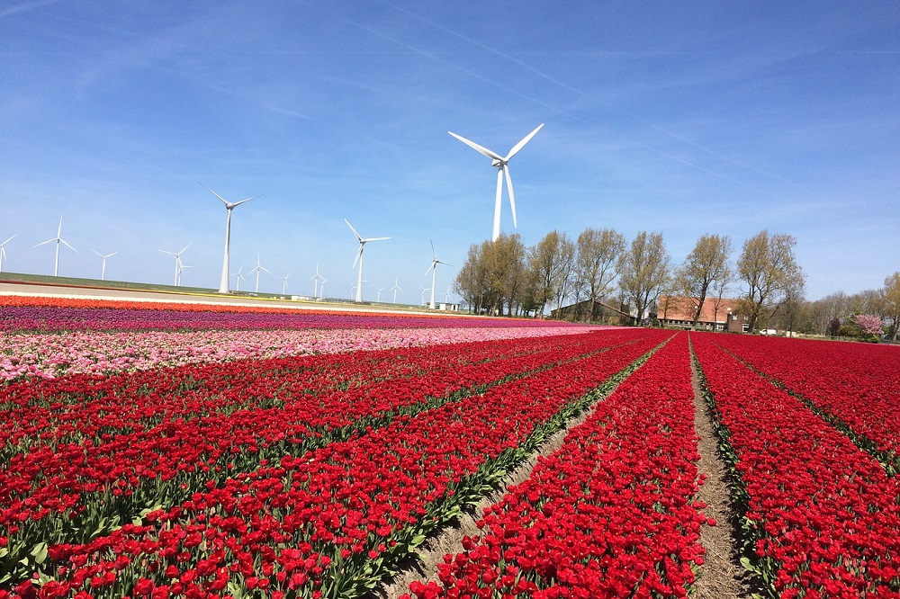 11 procent energieverbruik in 2020 afkomstig uit hernieuwbare bronnen