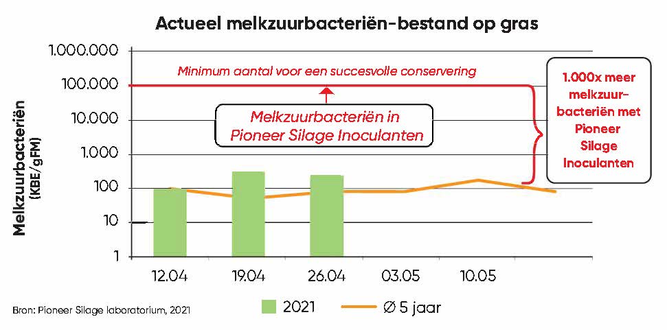 Ruwvoer: de belangrijke basis van het rantsoen!