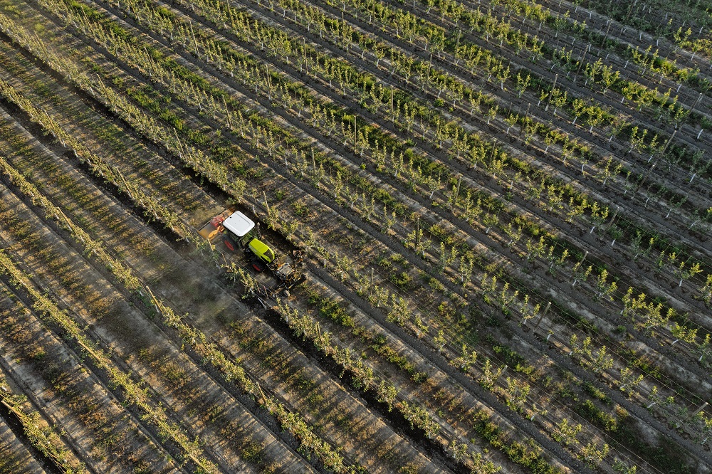 Claas Nexos: Meer modellen, nieuwe cabine, nieuw design en Stage V