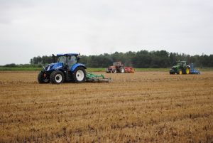 Groenbemester steeds meer ‘serieuze teelt’