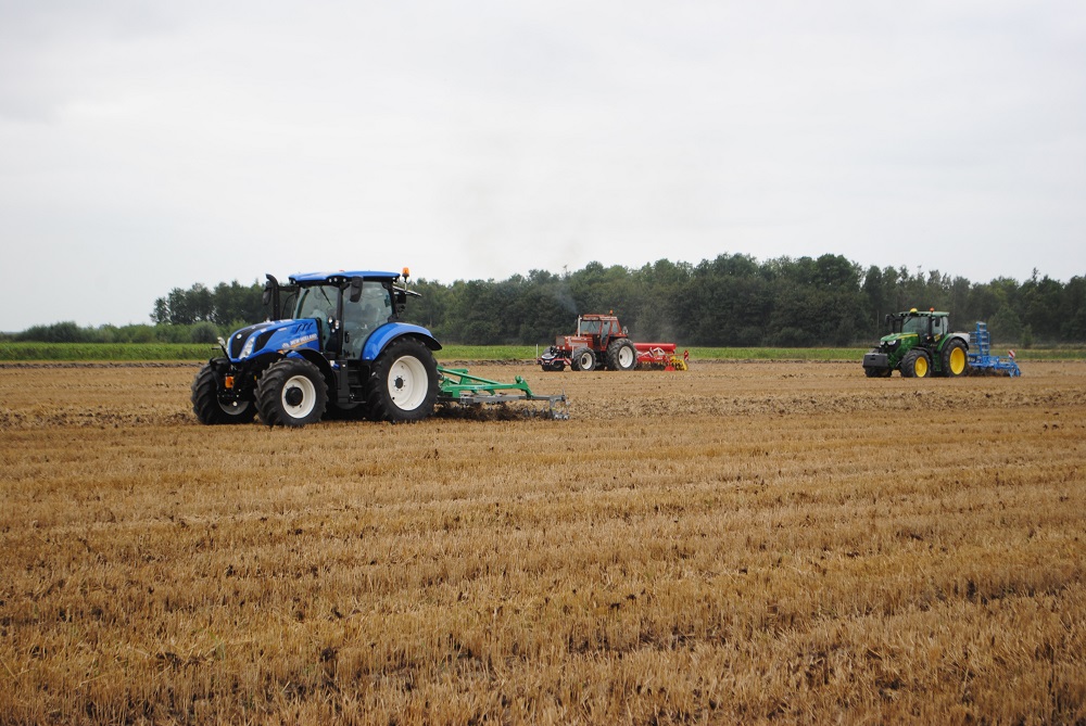 Groenbemester steeds meer ‘serieuze teelt’