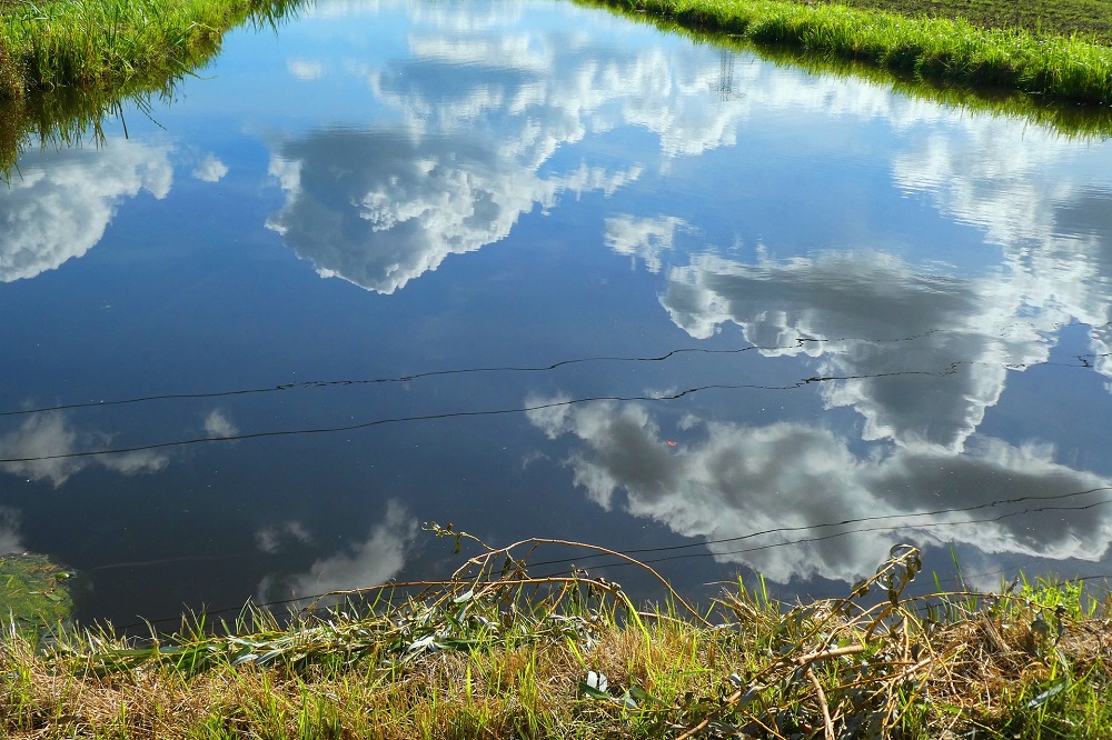 Drukdrains perspectiefvol voor vermindering veenafbraak