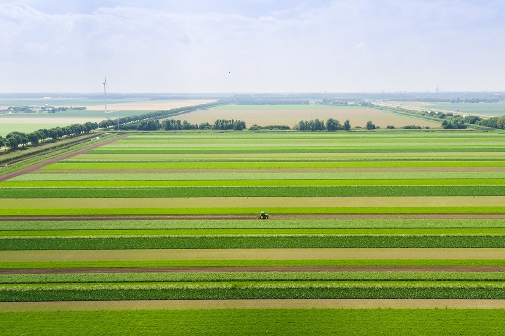 EU-pakket biedt ondersteuning aan Nederlandse boeren en tuinders