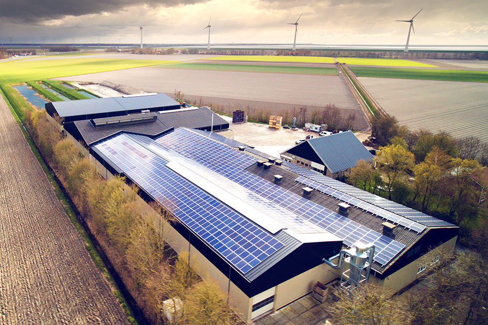 Afbouw salderingsregeling heeft weinig invloed op terugverdientijd zonnepanelen