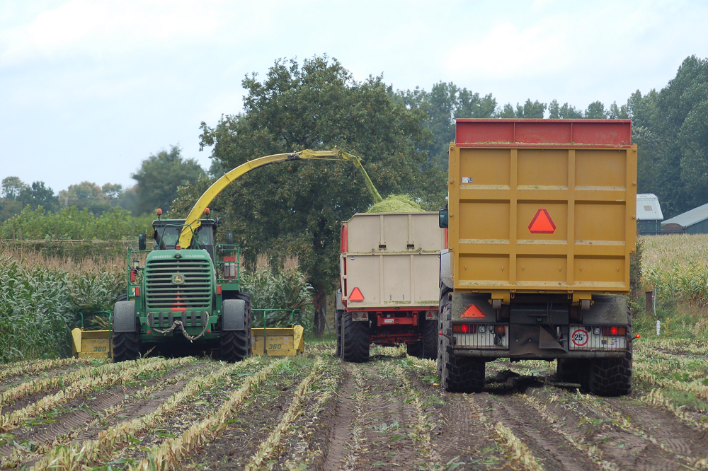 Zorgen bij werkgevers over verhogen minimumloon