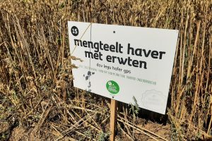 Loonwerker neemt initiatief met eiwitrijke gewassen