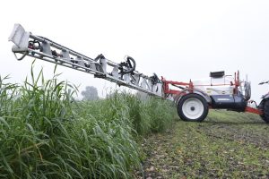 Delphy komt met gids voor groene middelen in de open teelten