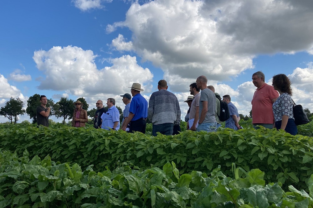 Open dag proeflocatie: nieuwe kringloopexperimenten in de Peel