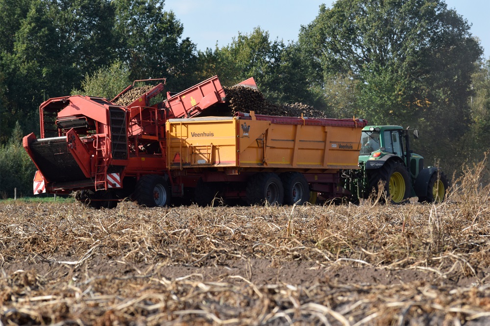 LTO: Loslaten 1 oktober-grens voor mais getuigt van bestuurlijke willekeur