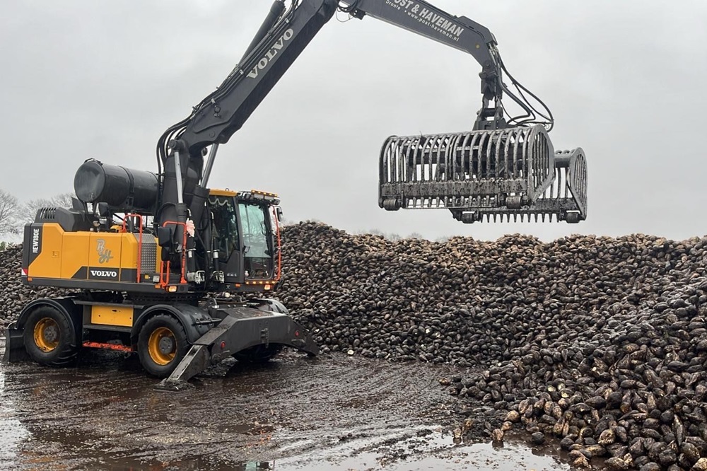 Bietencampagne bijna ten einde, nog 300 hectare in de grond