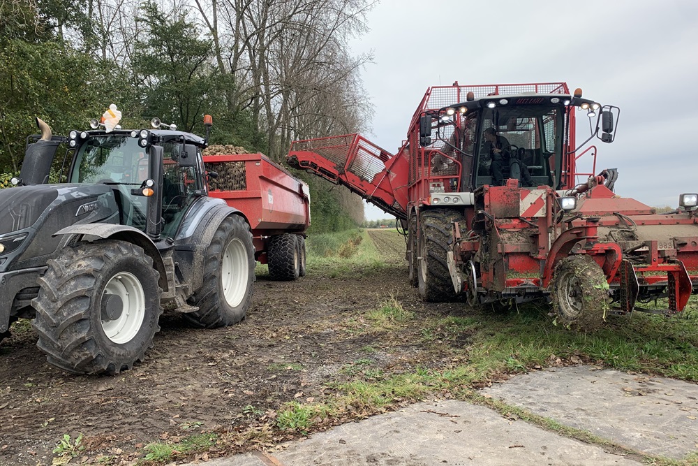 Grijze Valtra T194 sleept Zeeuwse bieten binnen