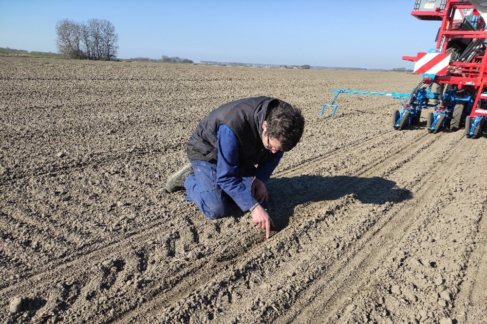 Plantwegval door bodemplagen: welke maatregelen kun je bij zaai nemen?