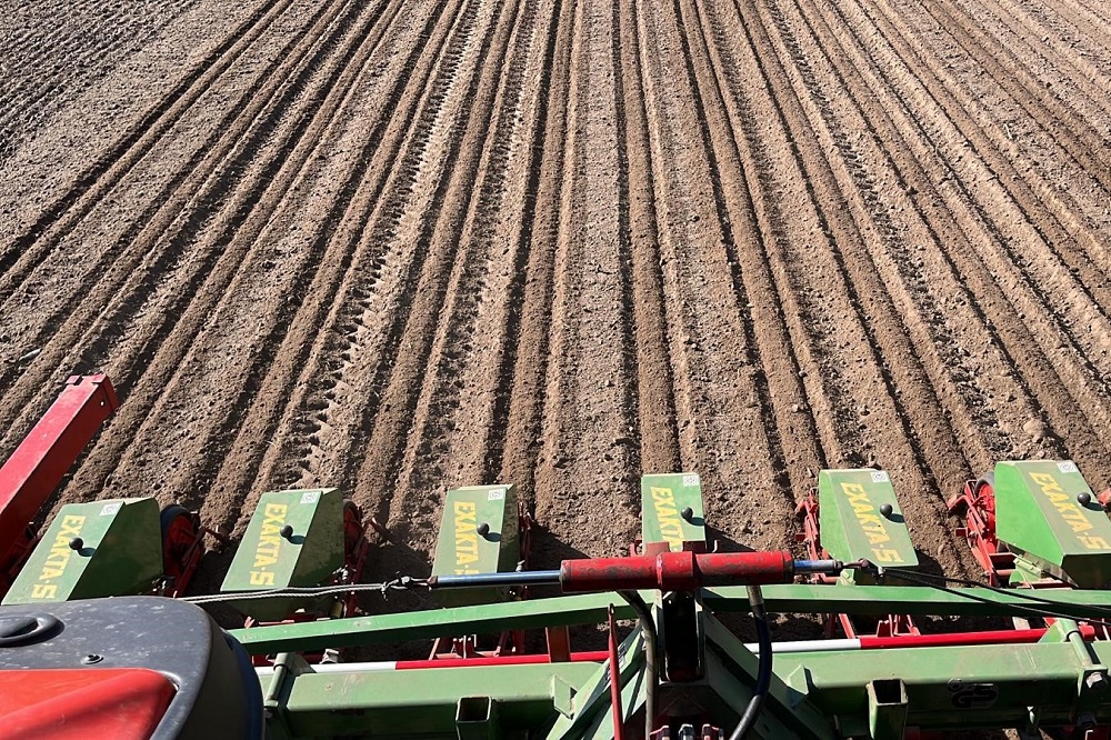 Grote regionale verschillen in hectares gezaaide bieten 2