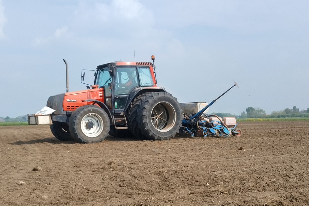 Nog steeds geen snijmaïs kunnen zaaien? 4 tips