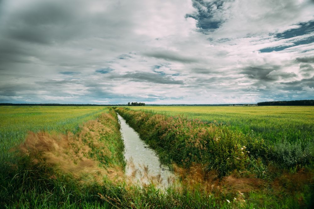 Waterschap roept boeren op om spoelsleuven dicht te leggen